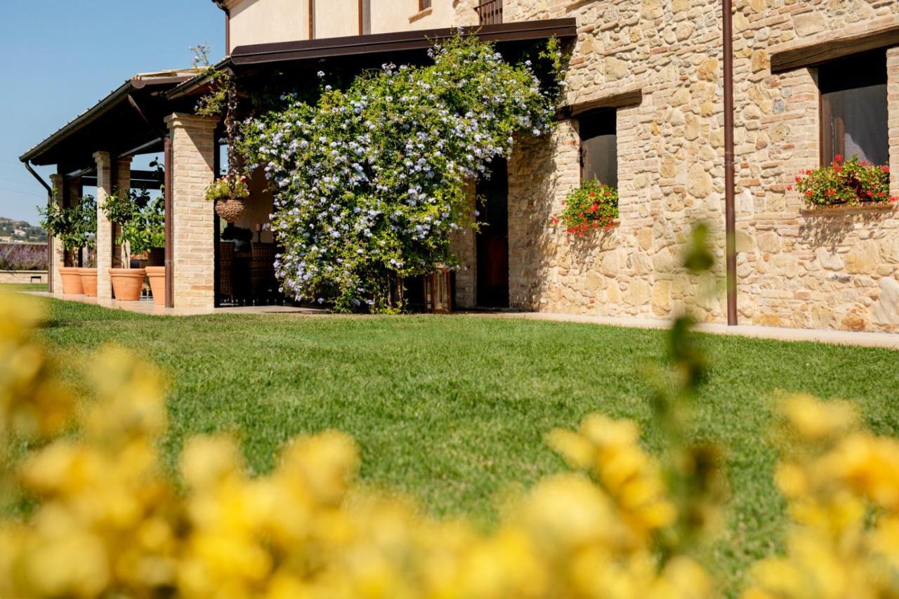 Agriturismo Collelago Massignano Exterior foto